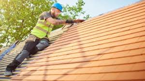 Best Roof Moss and Algae Removal  in Crivitz, WI